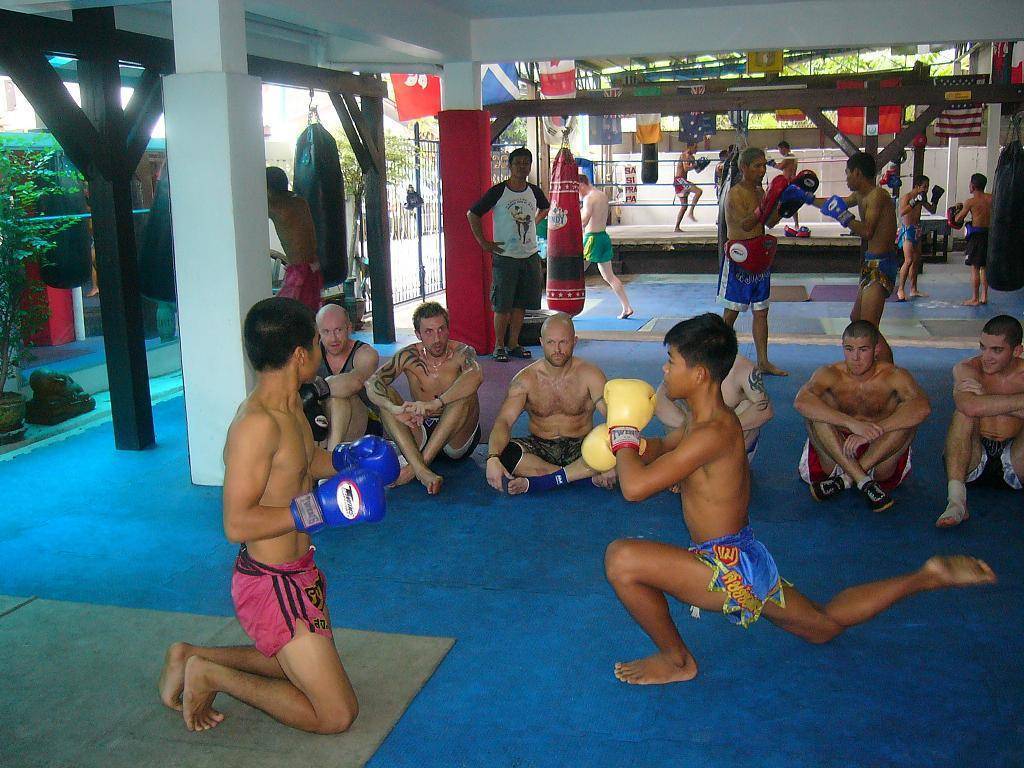 Tiger muay thai training and accommodation prices & packages