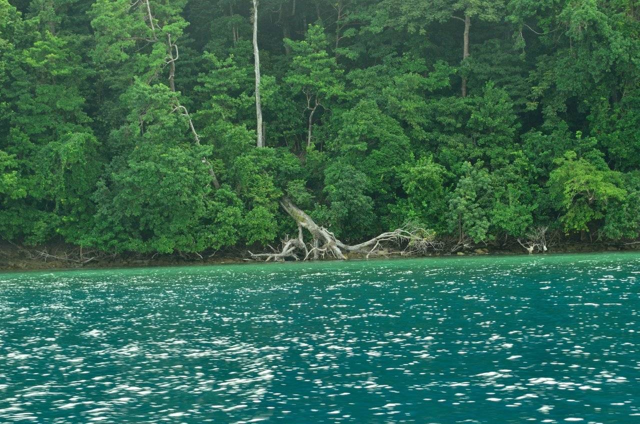 Отдых на андаманских островах: как интересно провести время на популярном курорте отдых на андаманских островах: как доехать, список отелей, развлечения