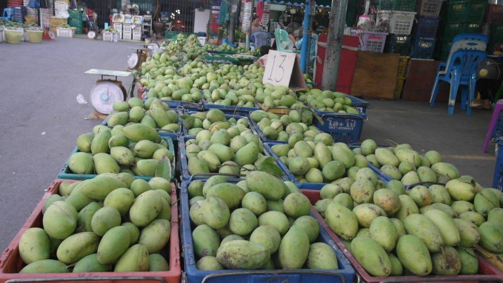 Как вывезти фрукты из таиланда. советы вывоза фруктов
