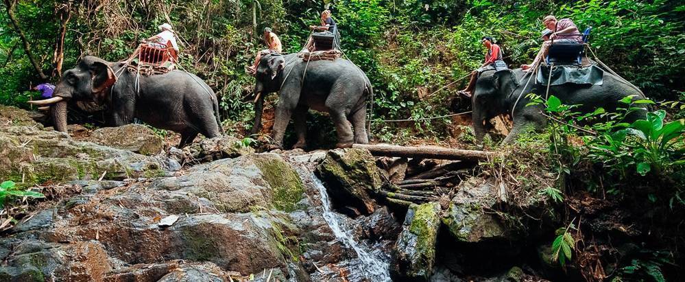 Экскурсия в национальный парк као лак (khao lak), таиланд - насыщенная, познавательная и развлекательная