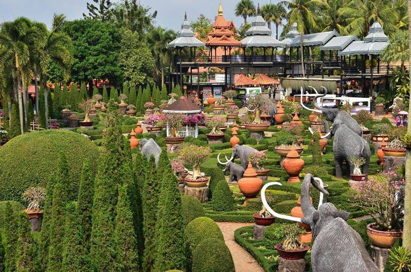 Тропический ботанический сад нонг нуч — nong nooch garden — thaiguide.info