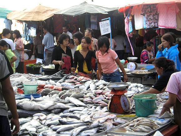 Рынок чатучак (chatuchak) - покупки в бангкоке