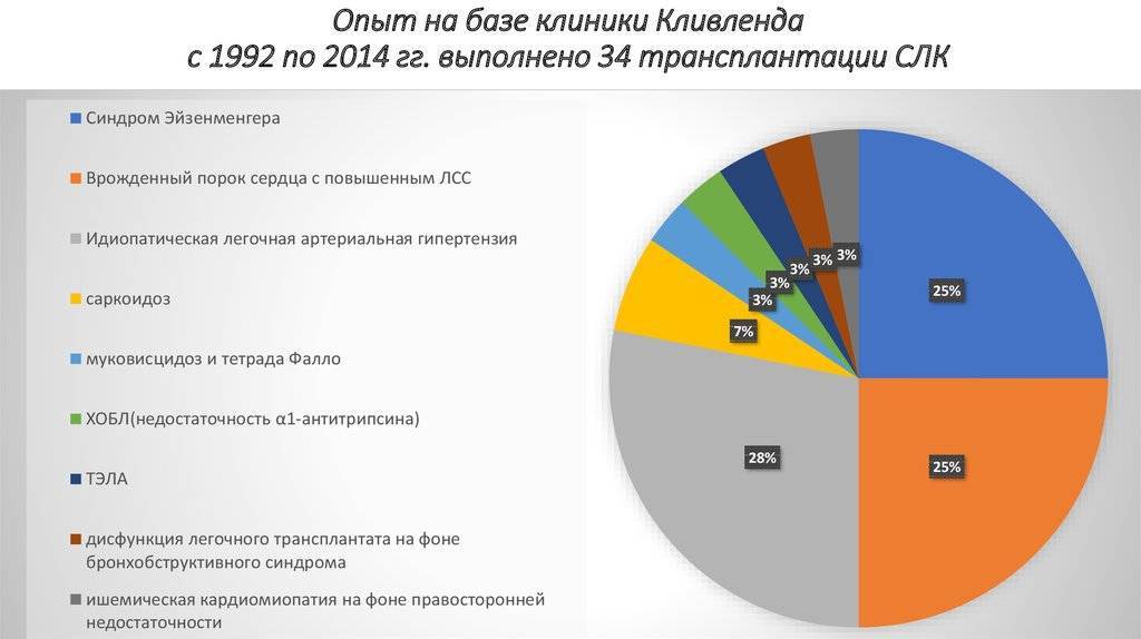 Трансплантология в германии, адреса, сайты и телефоны лучших немецких клиник