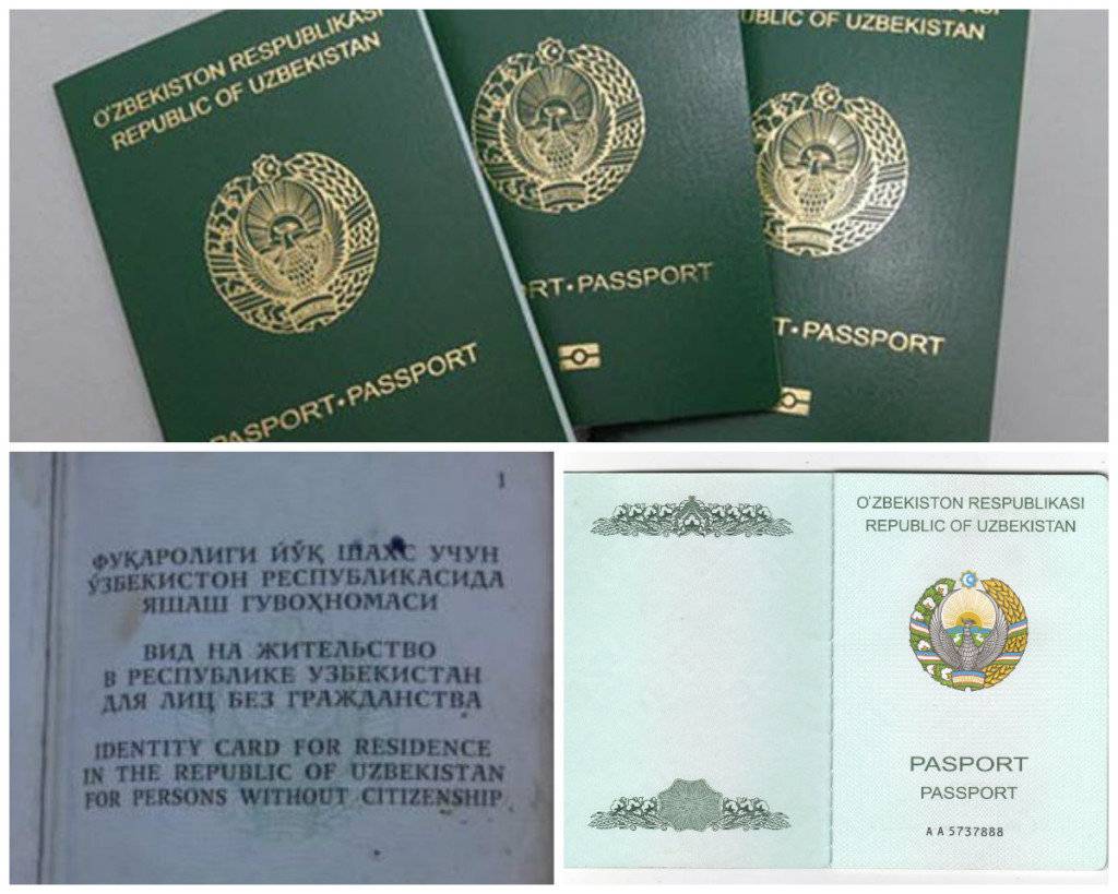 Отказ от гражданства узбекистана в 2020 году [образец заявления]