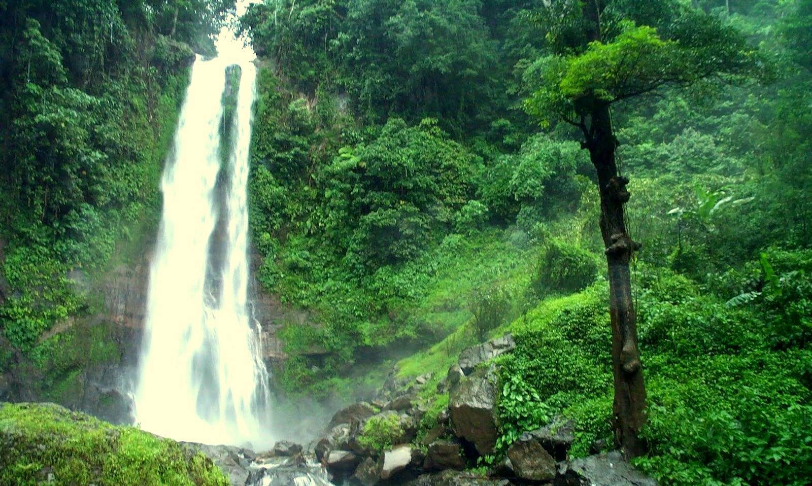 Водопады бали - зеркало жизни