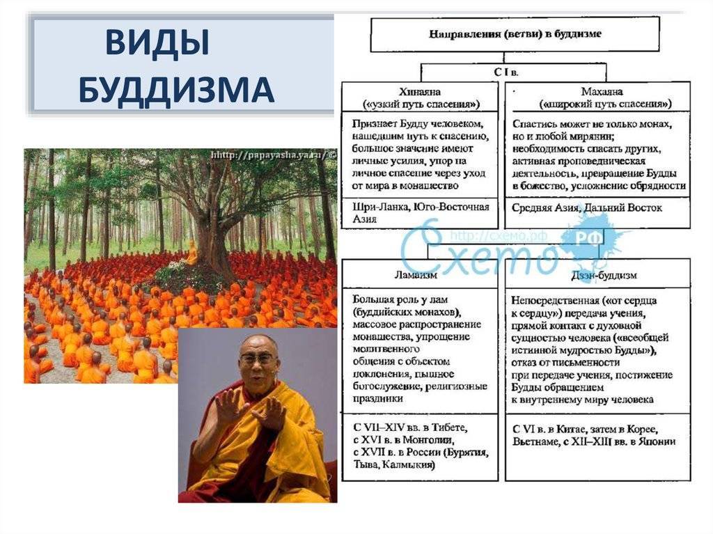 Вьетнамцы – самобытный народ “рисовой страны”