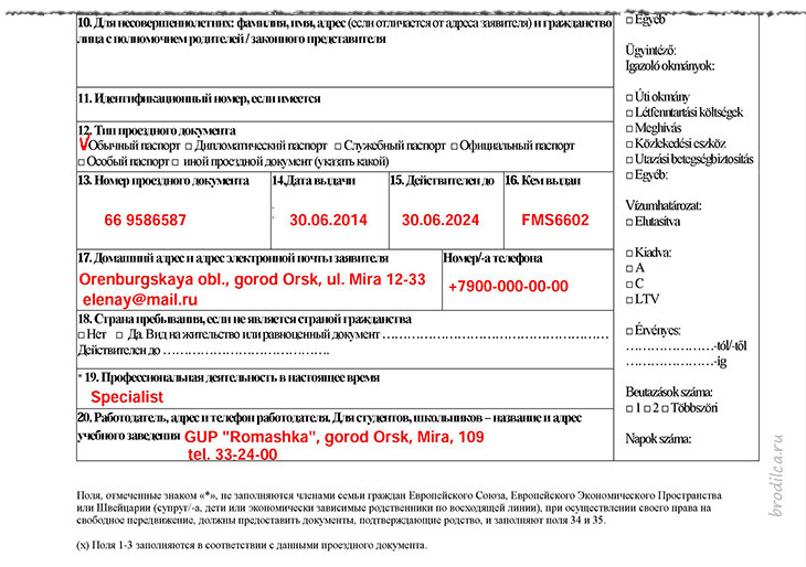 Образец заполнения анкеты на визу шенгенскую визу