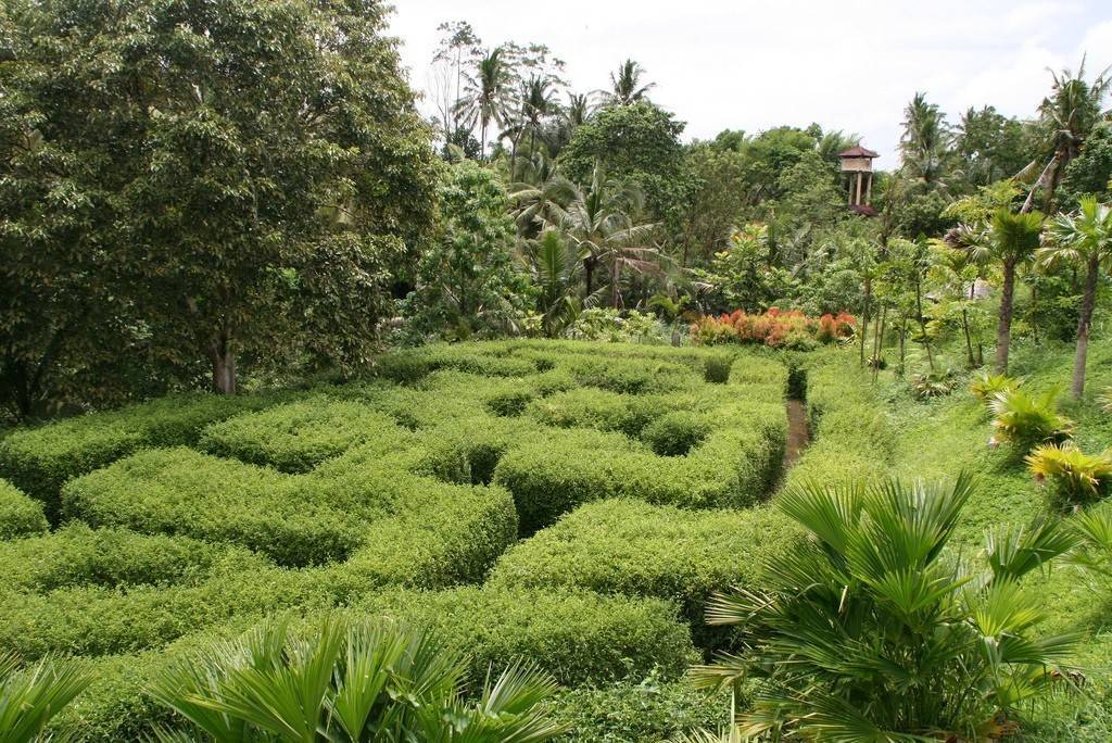 Ботанический сад бали - bali botanic garden - dev.abcdef.wiki