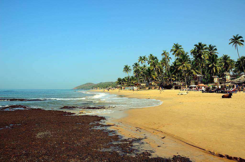 Пляжный отдых в индии: куда лучше поехать, обзор курортов