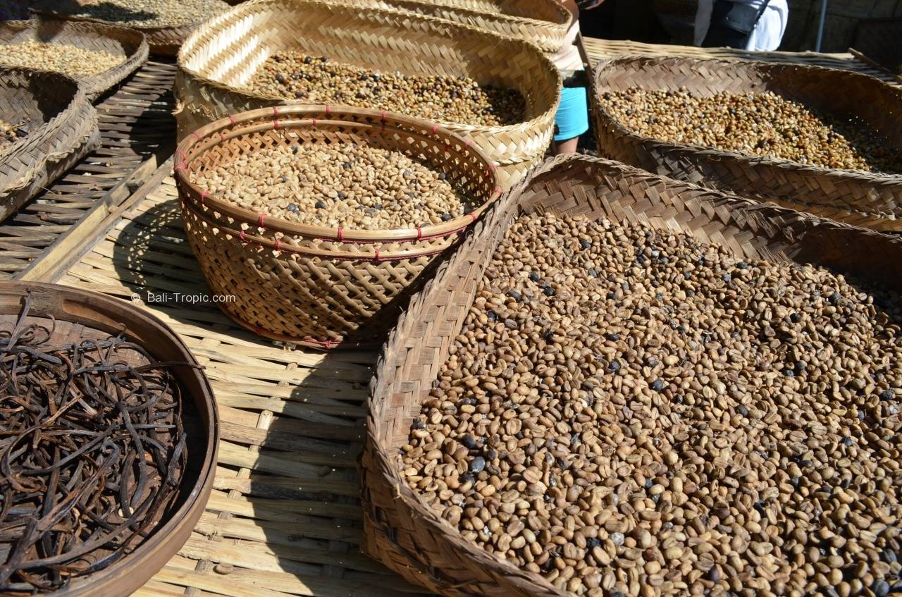 Лювак кофе - самы дорогой вид зерен в мире из кала животных