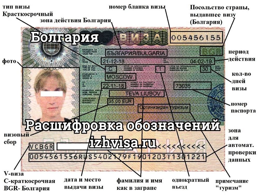 Как читать шенгенскую визу – расшифровка обозначений паспорта