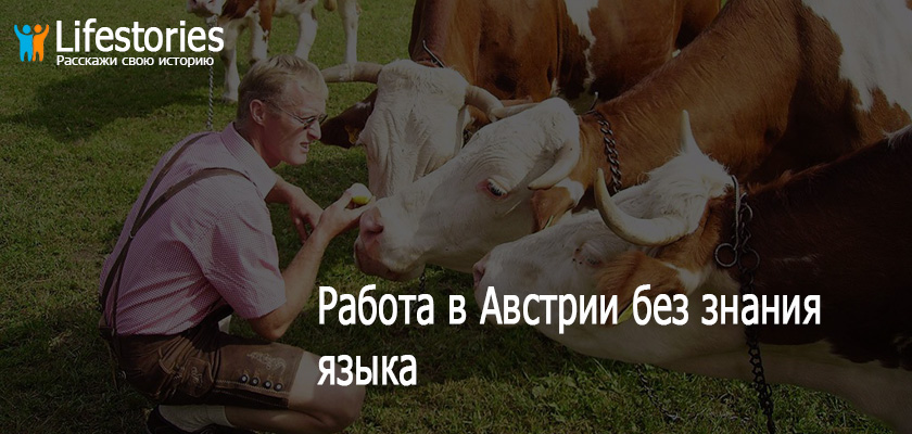Обзор сайтов по поиску работы в австрии — иммигрант сегодня