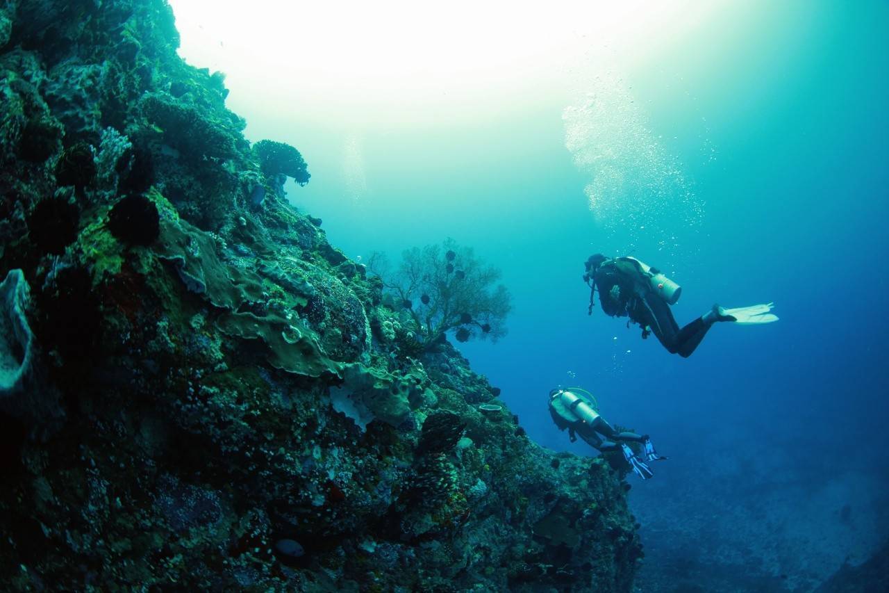 Лучшие места для дайвинга и подводного плавания на бали | азия 2022