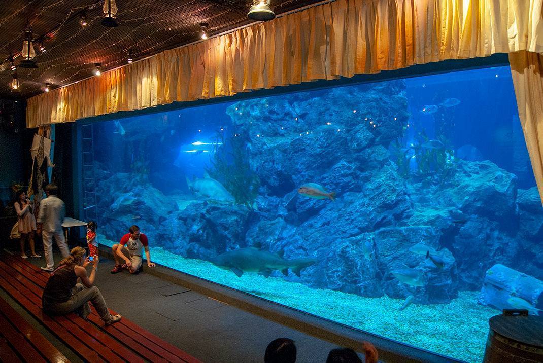 Аквариум sea life ocean world в бангкоке