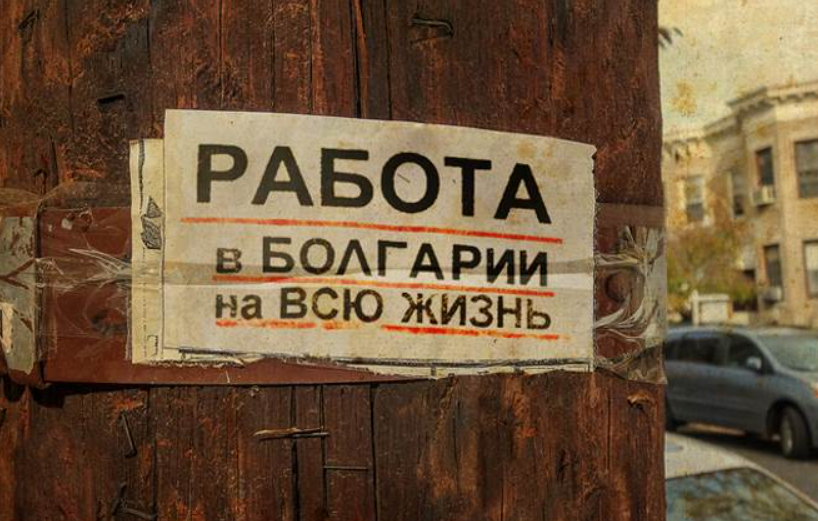 Работа в болгарии: 5 требований к соискателю и востребованные профессии