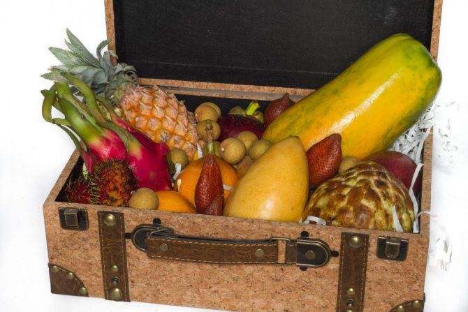 Как правильно привезти фрукты из тайланда в самолете - 2021