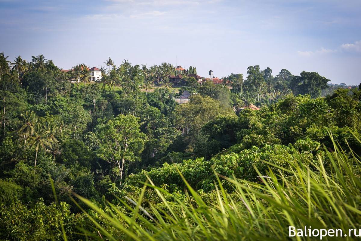How to get to the campuhan ridge walk ubud and what to expect | almost landing - bali
