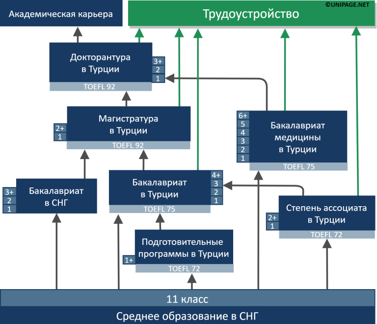 Эс образование. Система образования в Турции. Структура образования в Турции. Турецкая система образования. Система образования в Турции кратко.