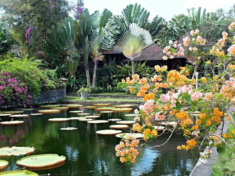 Ботанический сад на бали - фото, описание, что посмотреть, карта