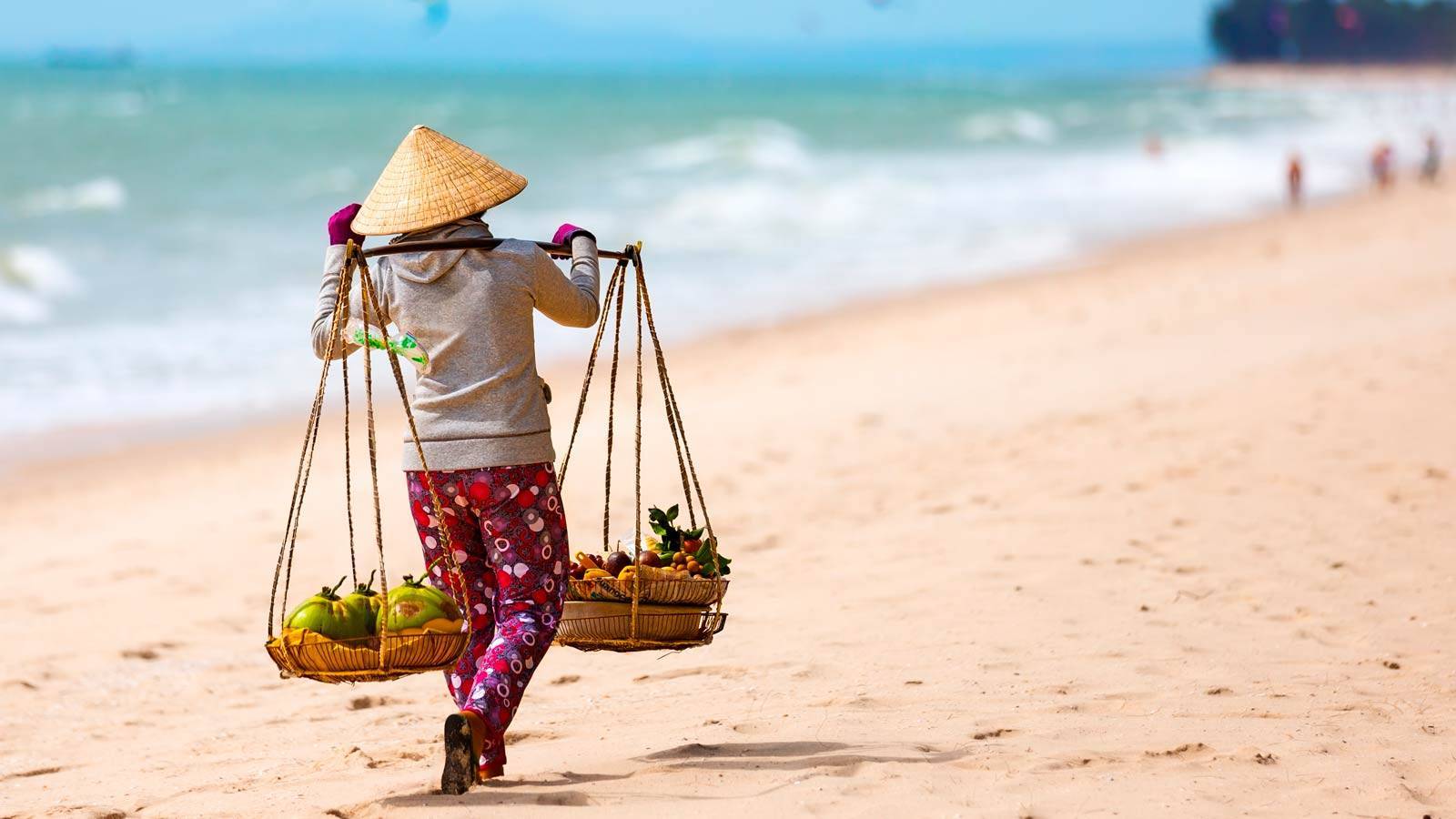 Погода в нячанге по месяцам и температура, вьетнам. когда лучше ехать в нячанг отдыхать - 2022