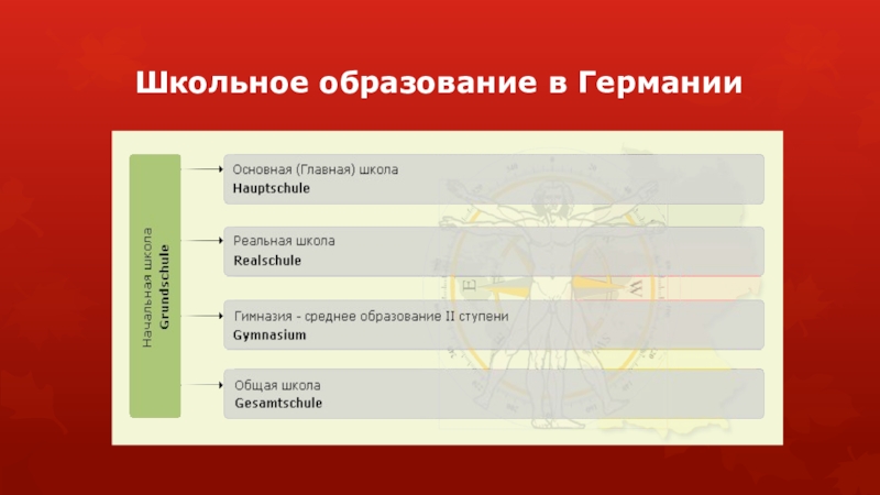 Проект система образования в россии и германии