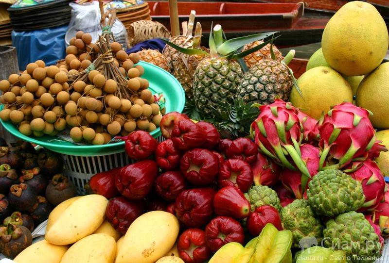 Что нельзя вывозить из таиланда, фрукты и ракушки?
