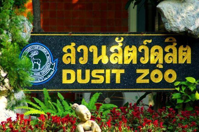 Где находится зоопарк dusit zoo в бангкоке, что там интересного?