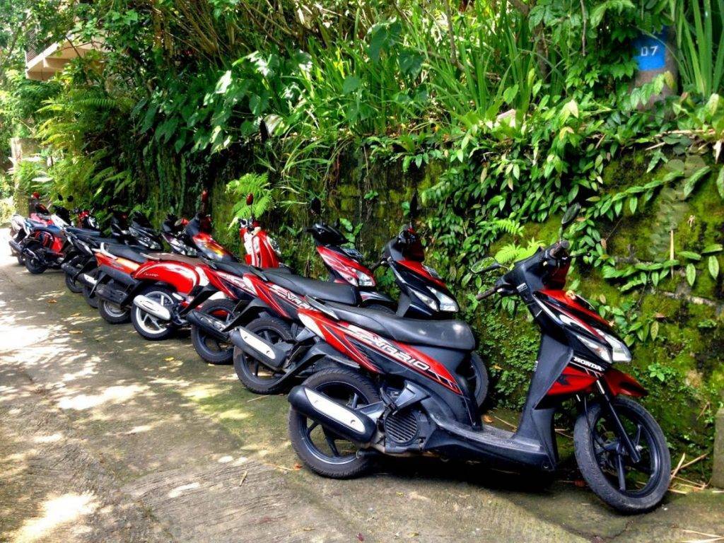 Аренда мотоцикла или мопеда в тайланде, общие правила и меры предосторожности!