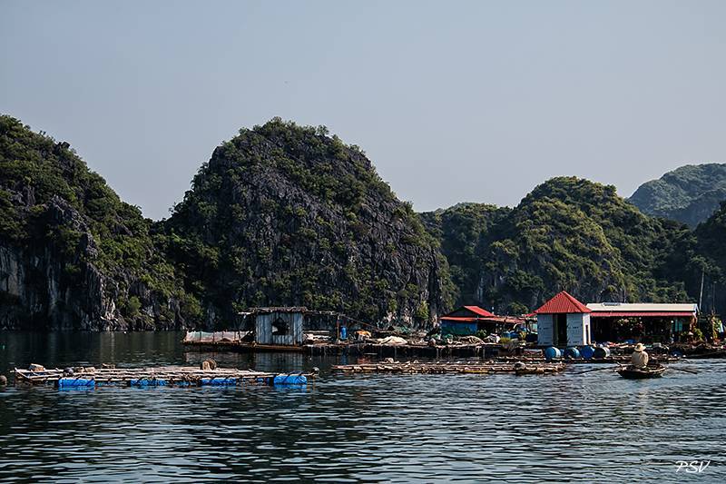 Бухта халонг за 5$ или 4 нестандартных способа самостоятельно посмотреть halong bay: отзывы, фото, карта