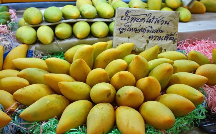 Когда сезон манго в таиланде. кто не ел карамболу — тот в таиланде не бывал: гид по тайским фруктам