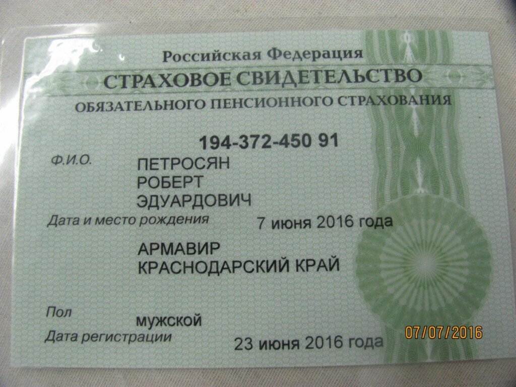 Снилс - как оформить через госуслуги. узнать свой снилс