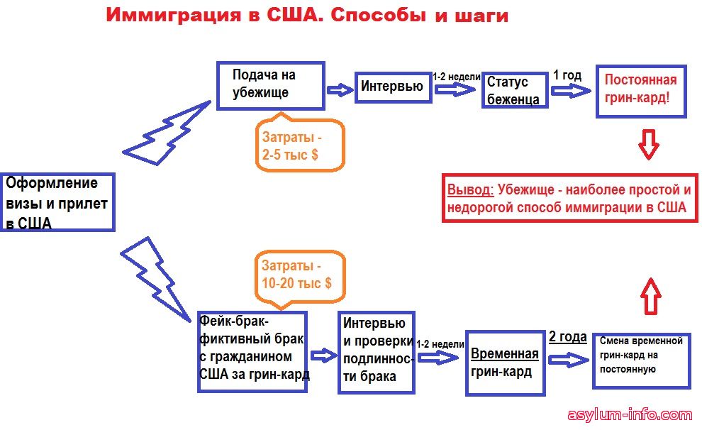 Кейс политическое убежище сша образец