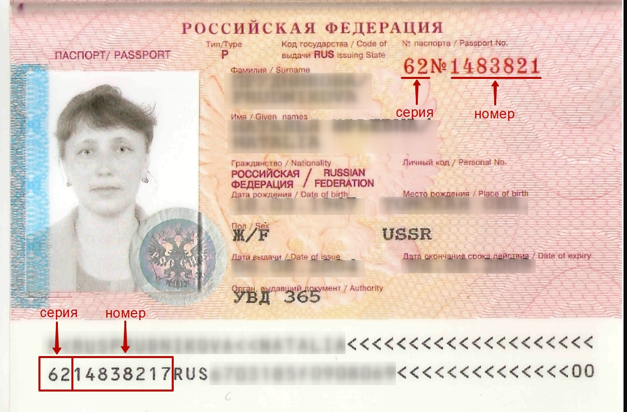 Где посмотреть серию и номер загранпаспорта в 2023 году