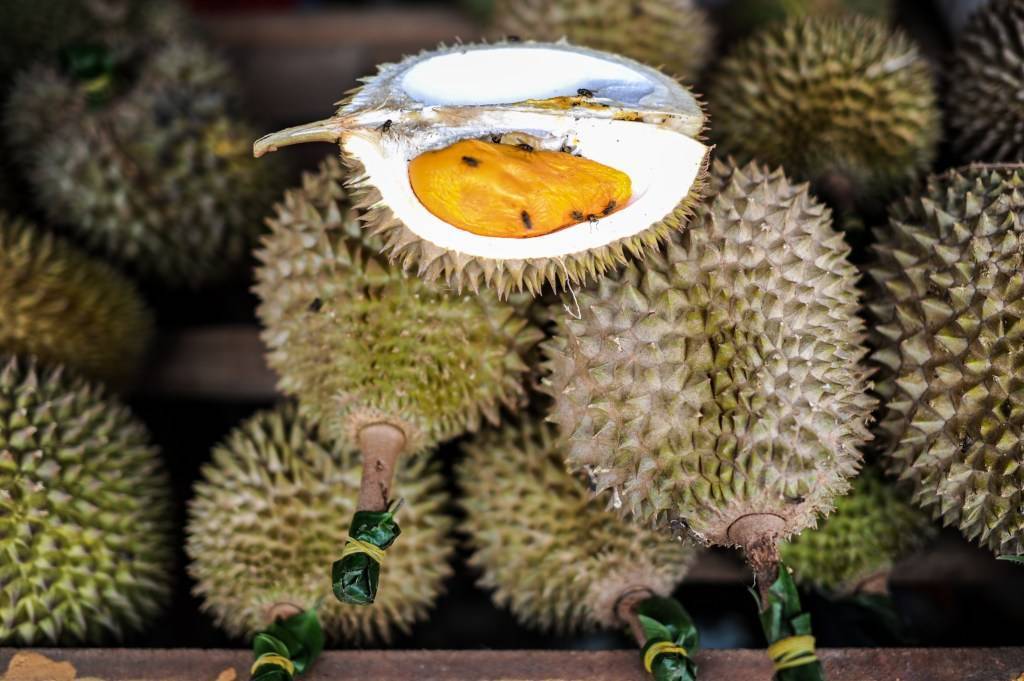 Ввоз фруктов из тайланда в россию 2020