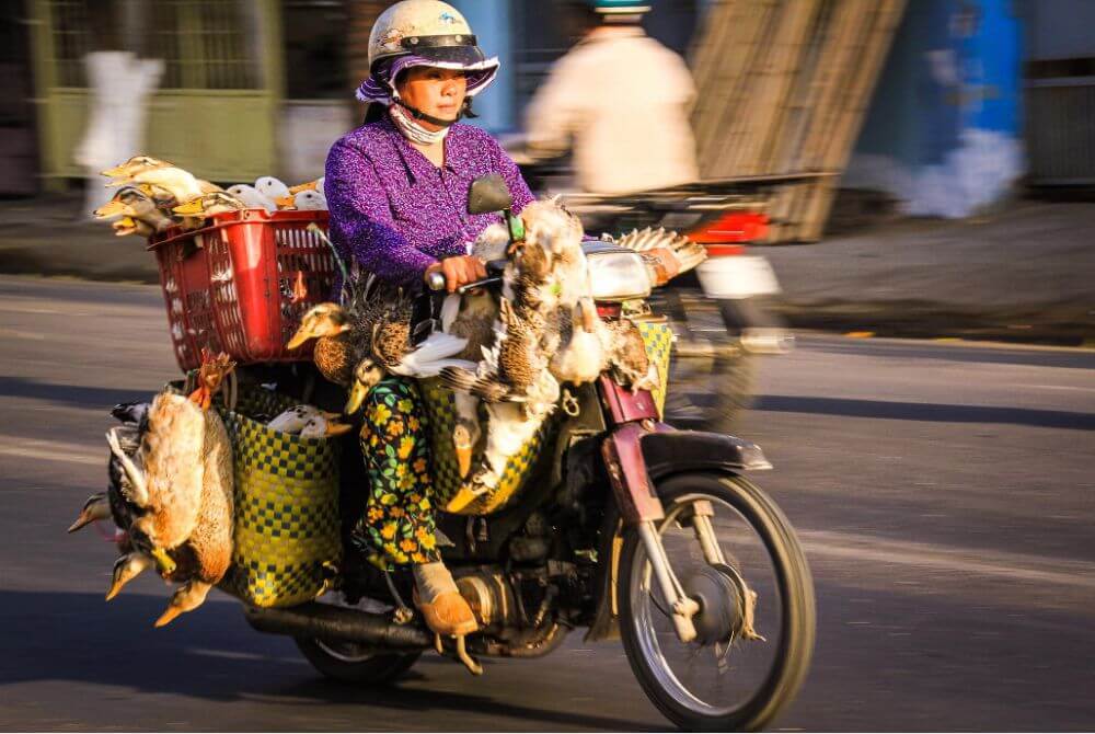 Вьетнам: когда ехать, что брать с собой и другие вопросы экзотик