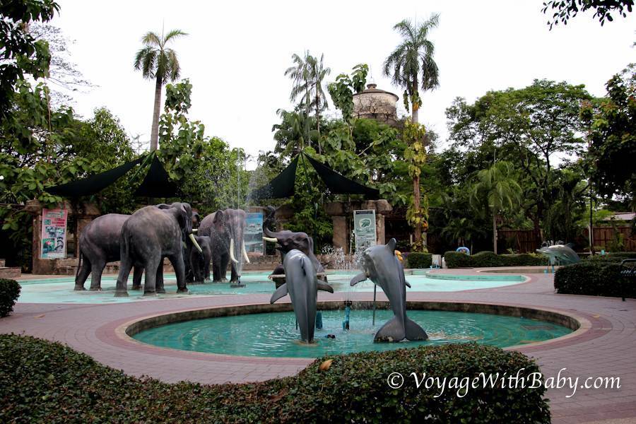 Зоопарк дусит в бангкоке