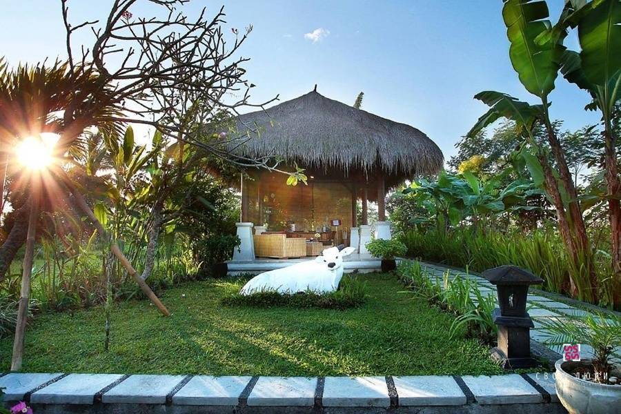 Отель nandini bali jungle resort & spa 4**** (убуд / индонезия) - отзывы туристов о гостинице описание номеров с фото