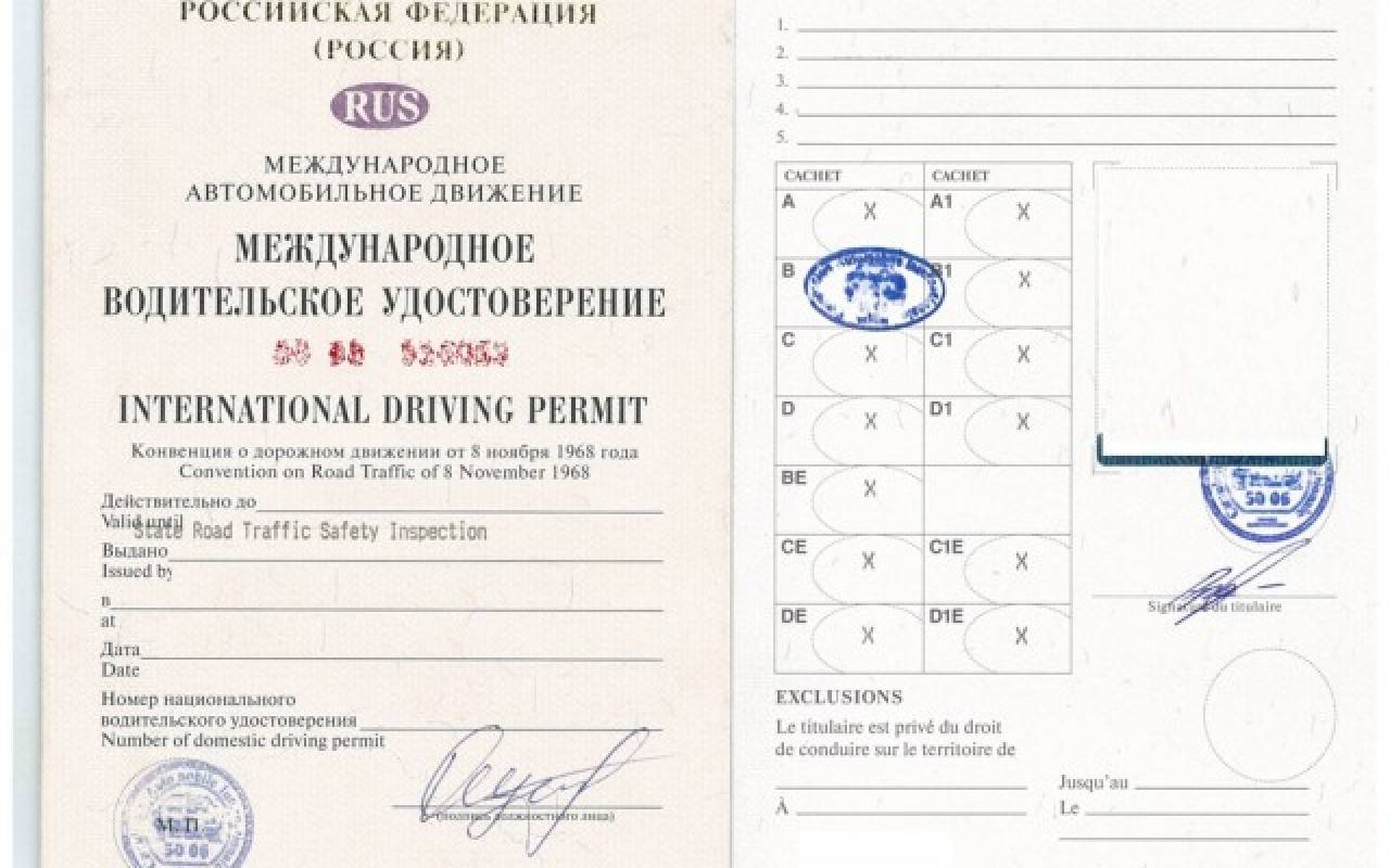 Международные водительские права образца 2021 года: как получить, как выглядят и их фото