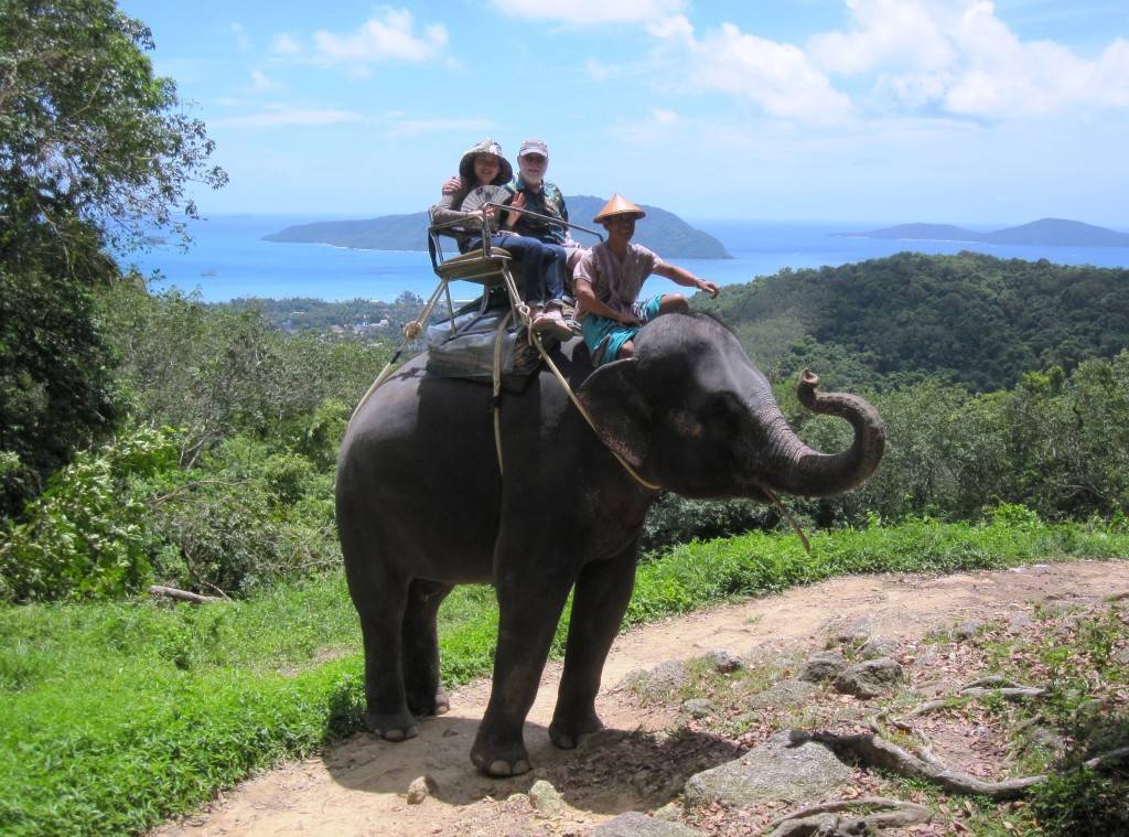 Заповедник слонов phuket elephant sanctuary, пхукет, таиланд. отели рядом на карте, фото, видео, отзывы, как добраться — туристер.ру