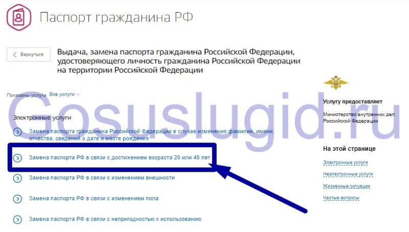 Как заполнить заявление на замену паспорта в 45 лет на госуслугах образец заполнения заявления