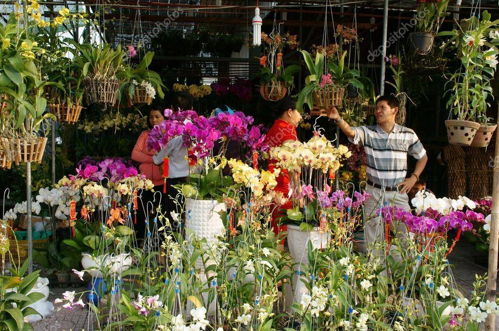 Названия и описание цветов тайланда