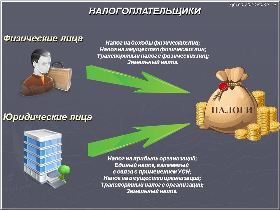 Бизнес в сербии для русских, советы как открыть бизнес и какие налоги придется оплачивать, какой налог на недвижимость