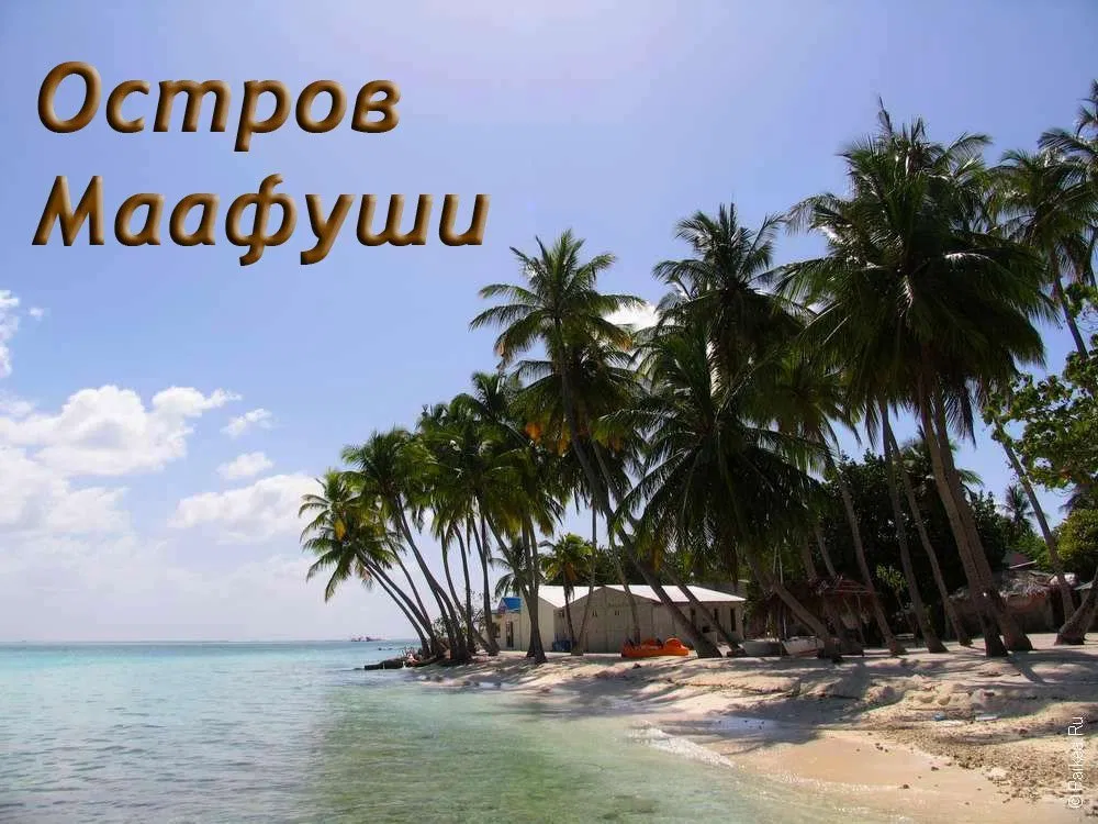 Остров тодду (thoddoo) | мальдивы.ру
