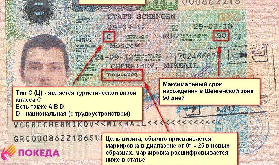 Шенгенская виза и расшифровка ее обозначений. как правильно читать шенгенскую визу?