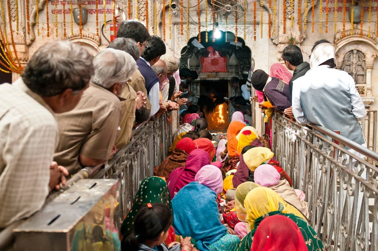 Крысиный рай: индийский храм, где поклоняются грызунам ❘ фото