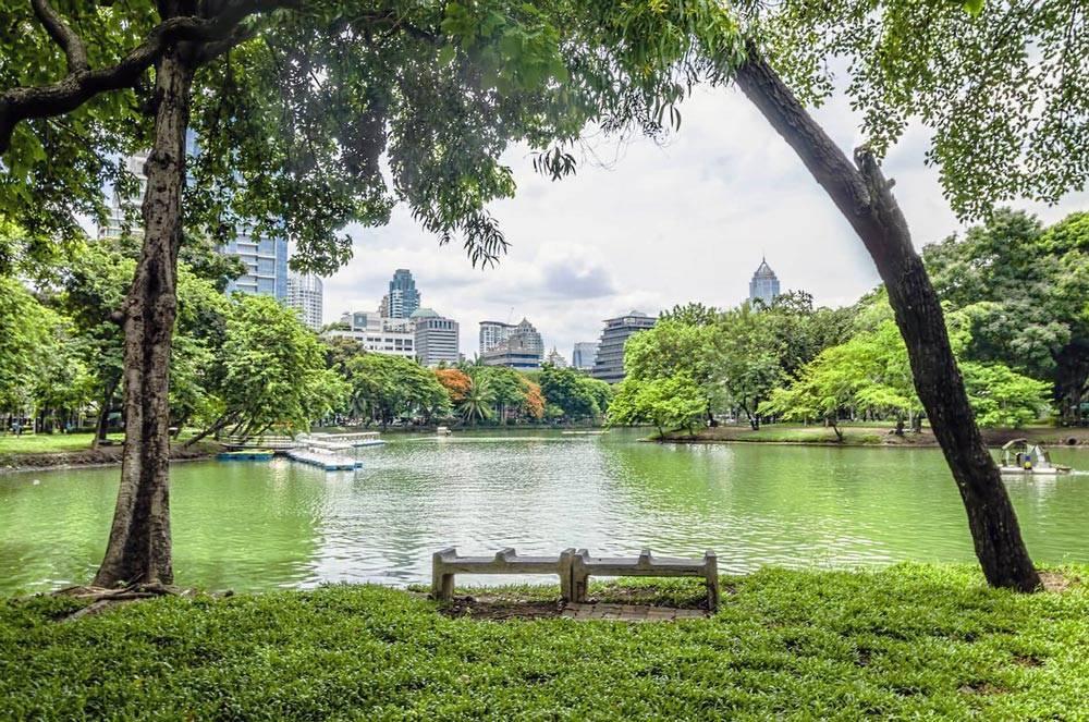 Парк люмпини (lumpini park bangkok), бангкок, таиланд. отели рядом на карте, фото, видео, отзывы, как добраться — туристер.ру
