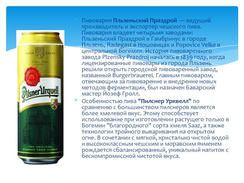 Пивные туры в праге: как выбрать и где попробовать чешское пиво