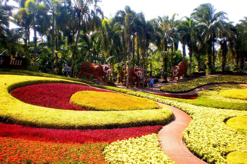 Тропический ботанический сад нонг нуч: описание, рекомендации.