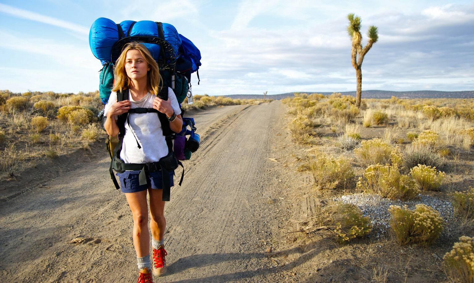 Путешествия в одиночку для женщин: развенчиваем мифы и разбираем опасности