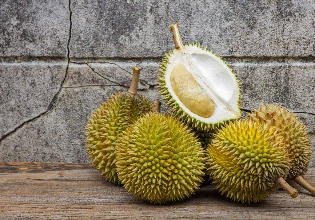Что нельзя вывозить из таиланда, фрукты и ракушки?